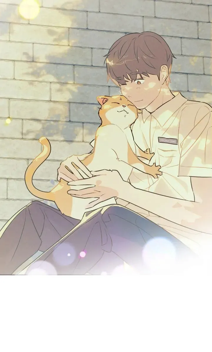 Read Countdown to Love chapter 13 image 16 on Lezhin