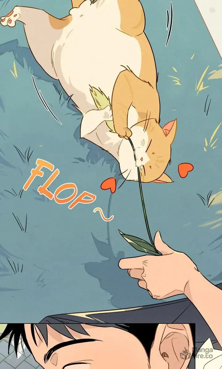 Read Countdown to Love chapter 13 image 34 on Lezhin