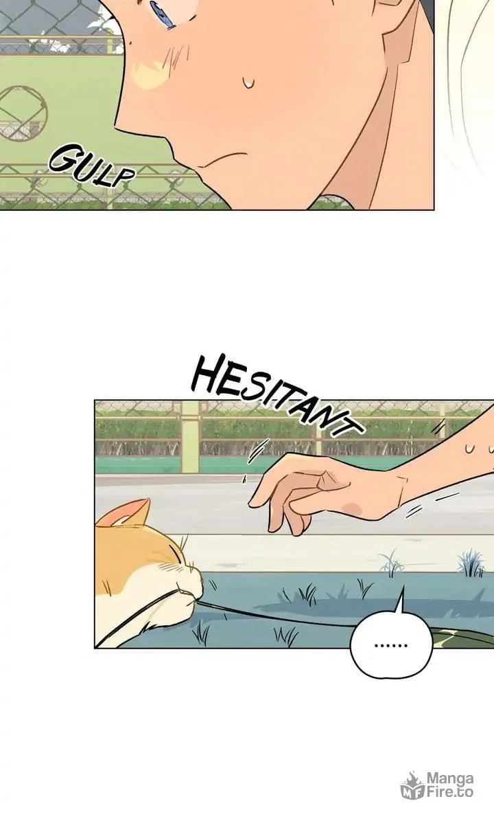 Read Countdown to Love chapter 13 image 35 on Lezhin