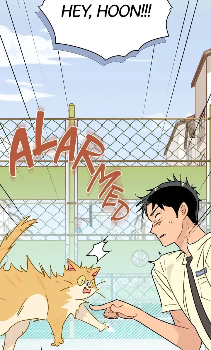 Read Countdown to Love chapter 13 image 37 on Lezhin
