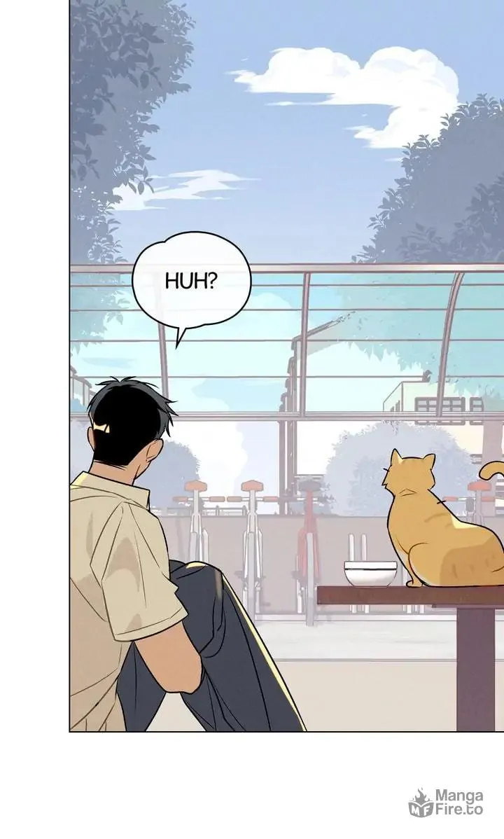 Read Countdown to Love chapter 20 image 50 on Lezhin