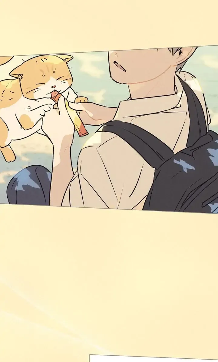 Read Countdown to Love chapter 22 image 36 on Lezhin
