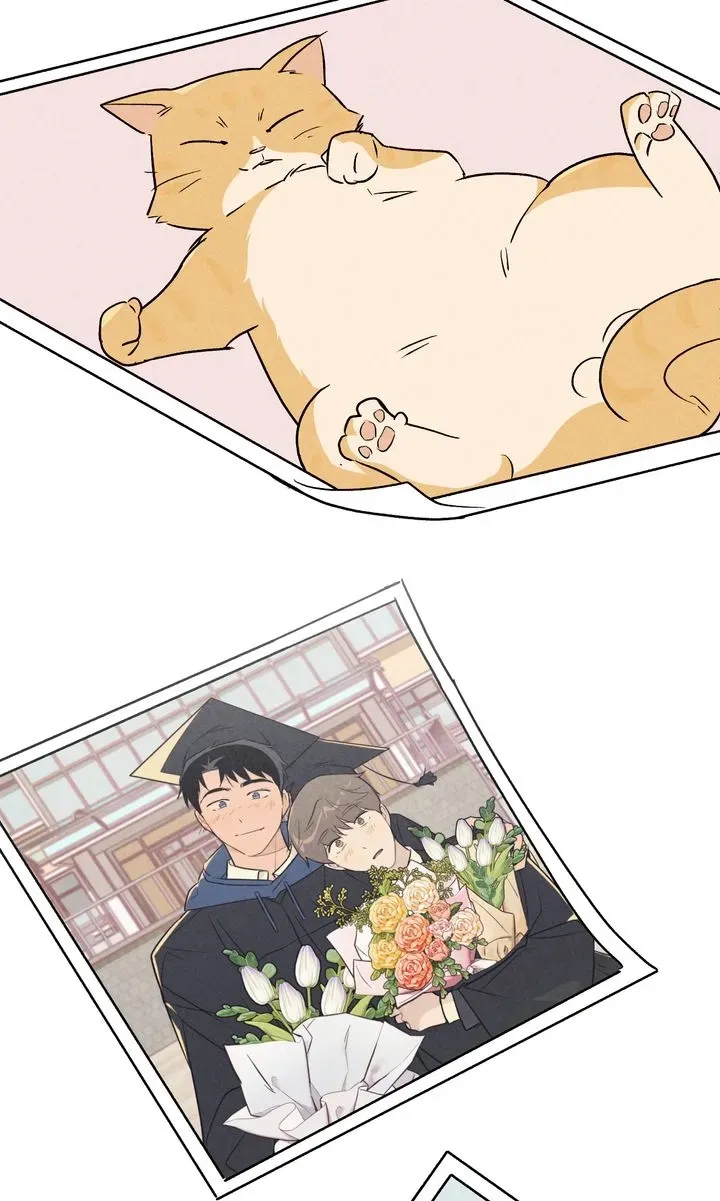 Read Countdown to Love chapter 24 image 77 on Lezhin