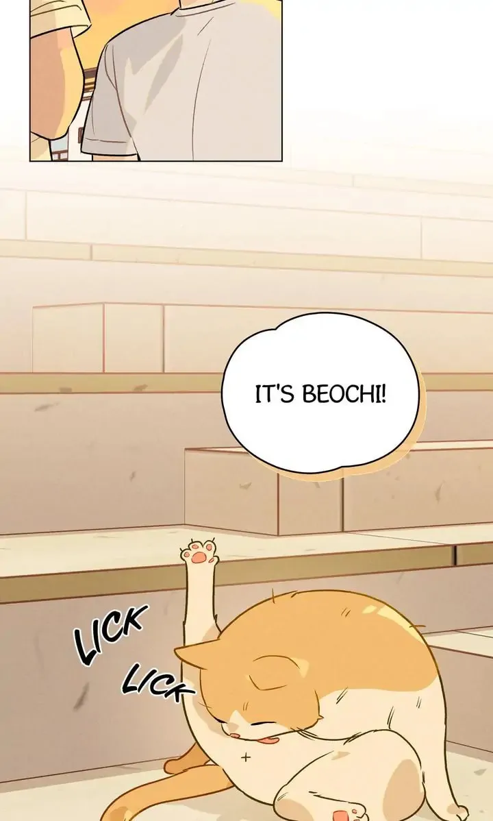Read Countdown to Love chapter 7 image 12 on Lezhin