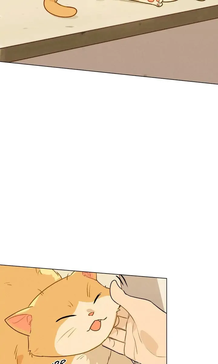 Read Countdown to Love chapter 7 image 13 on Lezhin