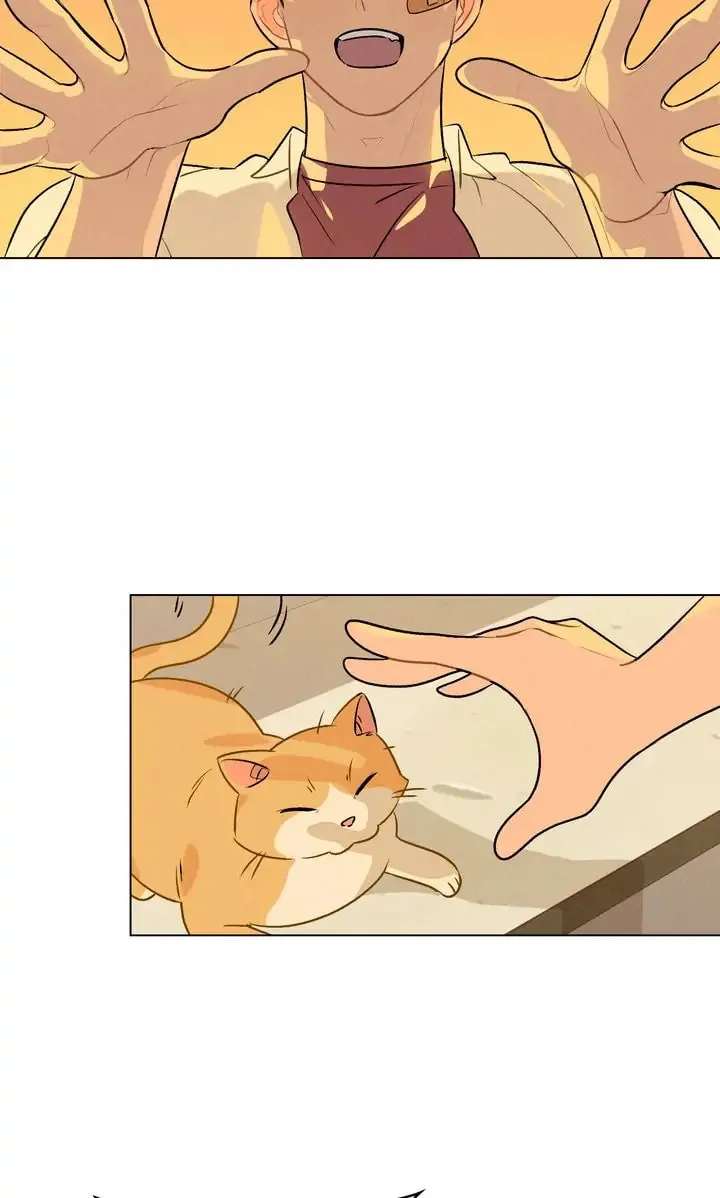 Read Countdown to Love chapter 7 image 16 on Lezhin