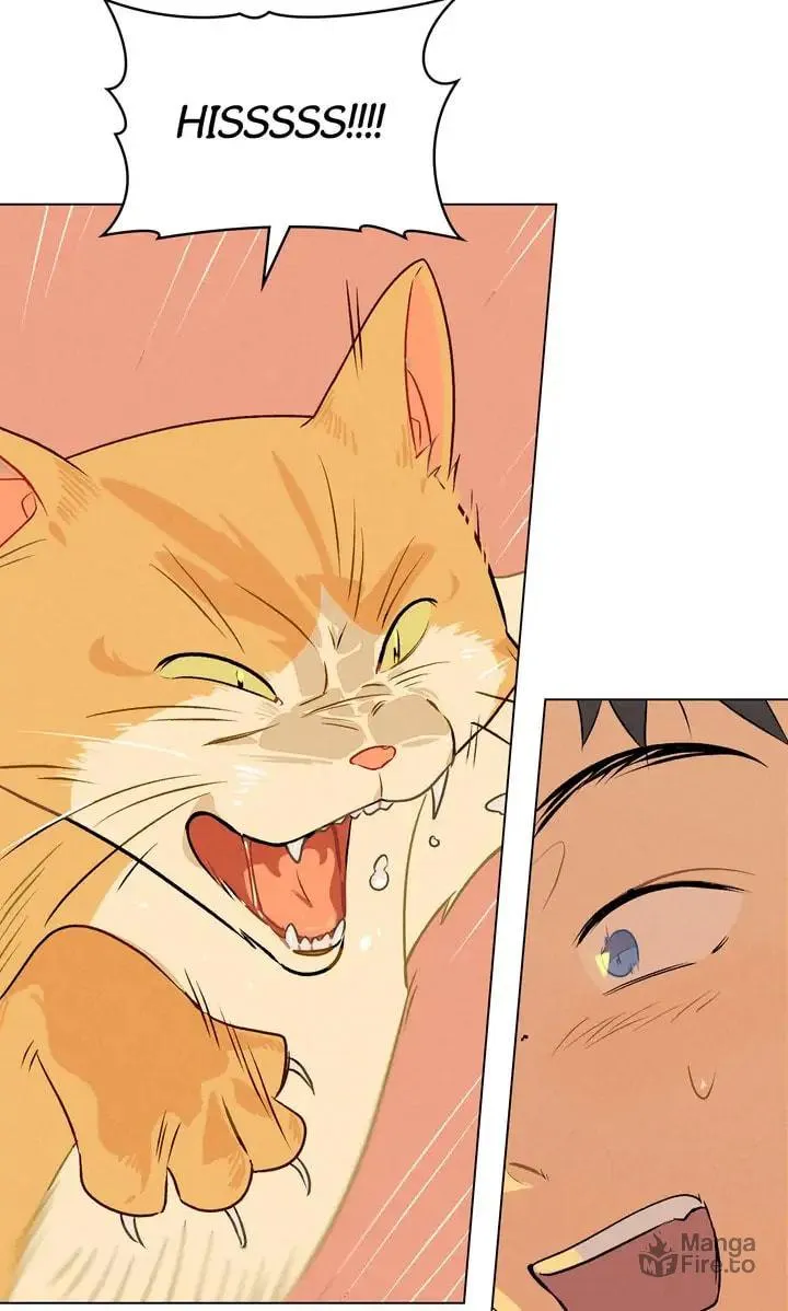 Read Countdown to Love chapter 7 image 17 on Lezhin
