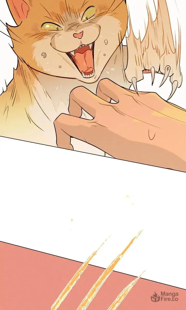 Read Countdown to Love chapter 7 image 19 on Lezhin