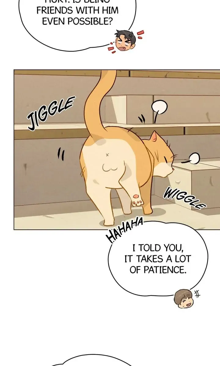Read Countdown to Love chapter 7 image 22 on Lezhin