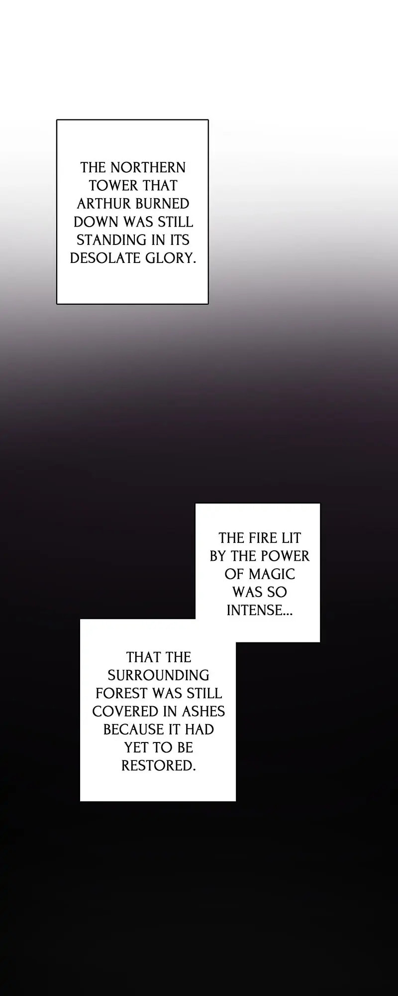 Read Countess and the Blade chapter 84.4 image 25 on Lezhin