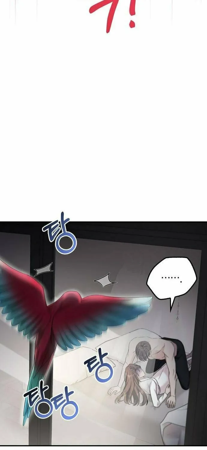 Couple, How Far You Can Go? Chapter 28 page 64 - 