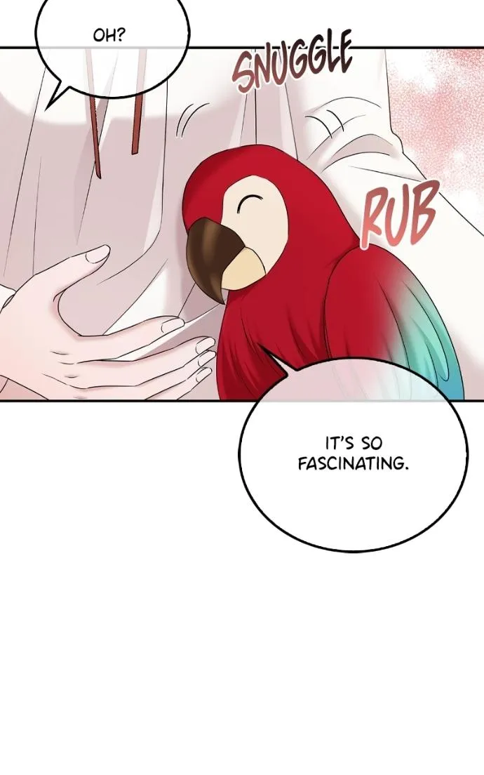 Couple, How Far You Can Go? Chapter 66 page 46 - 
