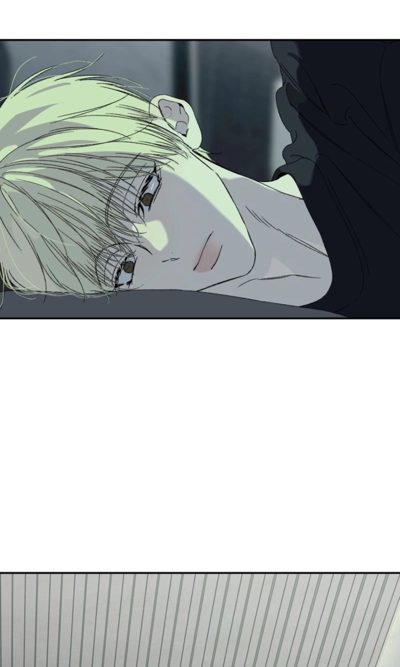 Cross-Color Point Chapter 11.99 page 54 - 