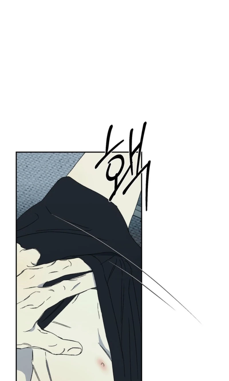 Cross-Color Point Chapter 12.99 page 15 - 
