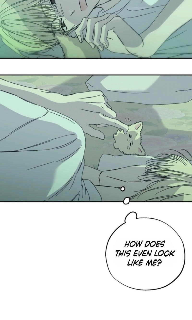 Cross-Color Point Chapter 14.99 page 45 - 