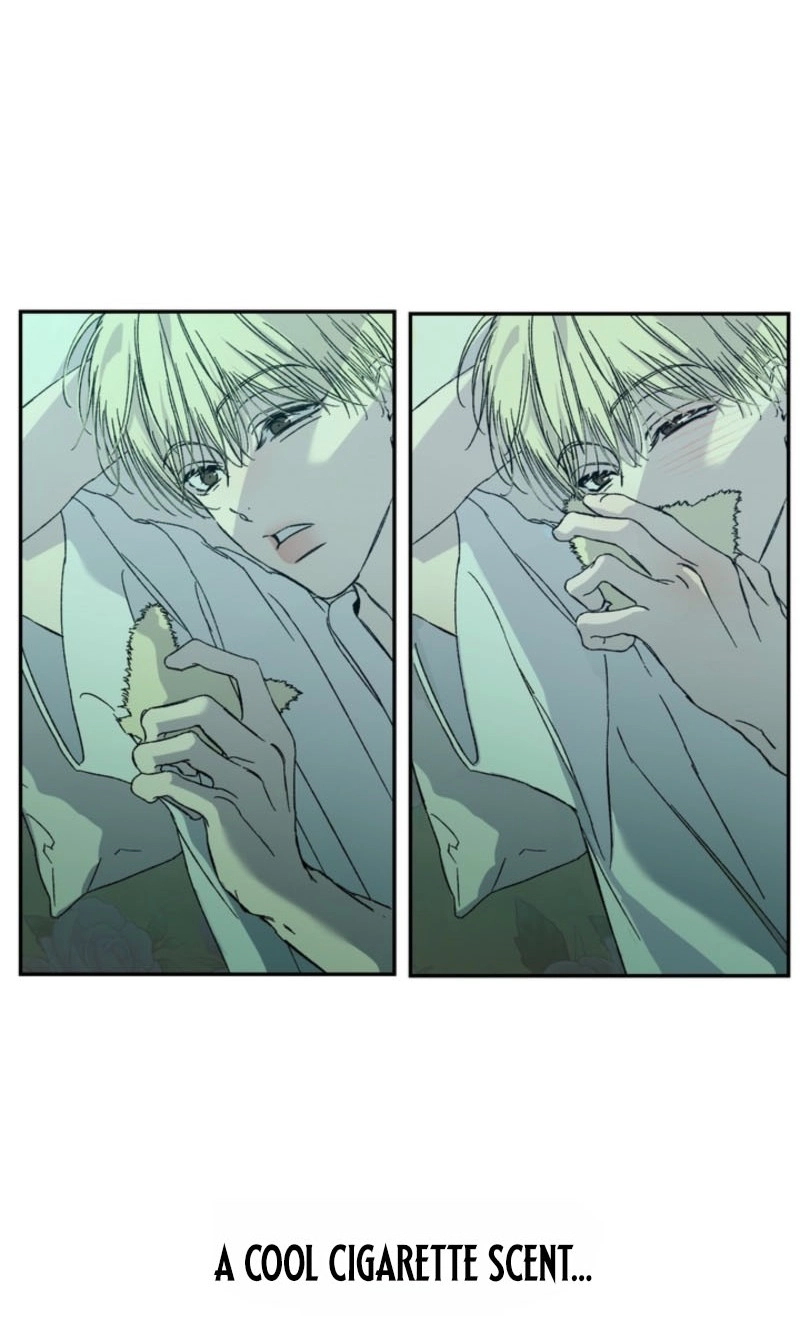 Cross-Color Point Chapter 14.99 page 46 - 