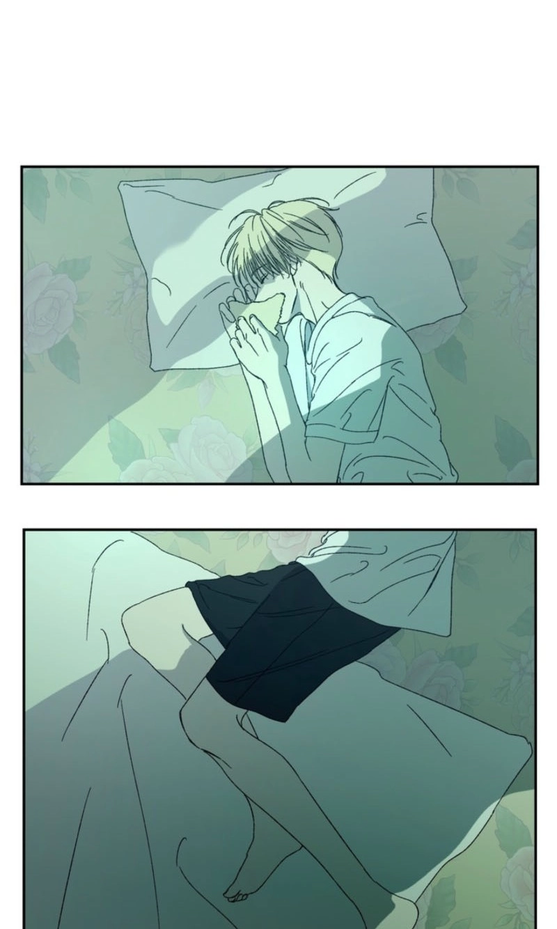 Cross-Color Point Chapter 14.99 page 47 - 