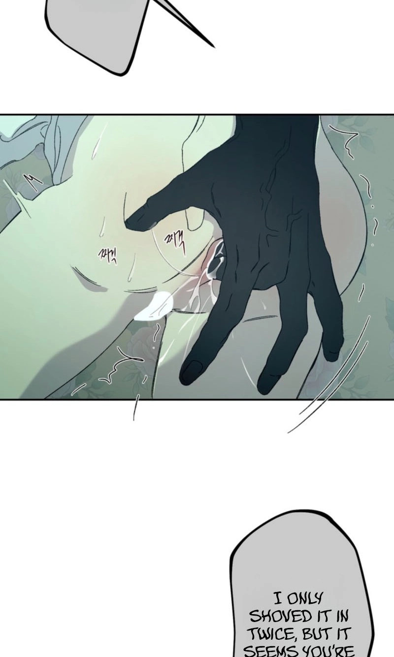 Cross-Color Point Chapter 14.99 page 56 - 