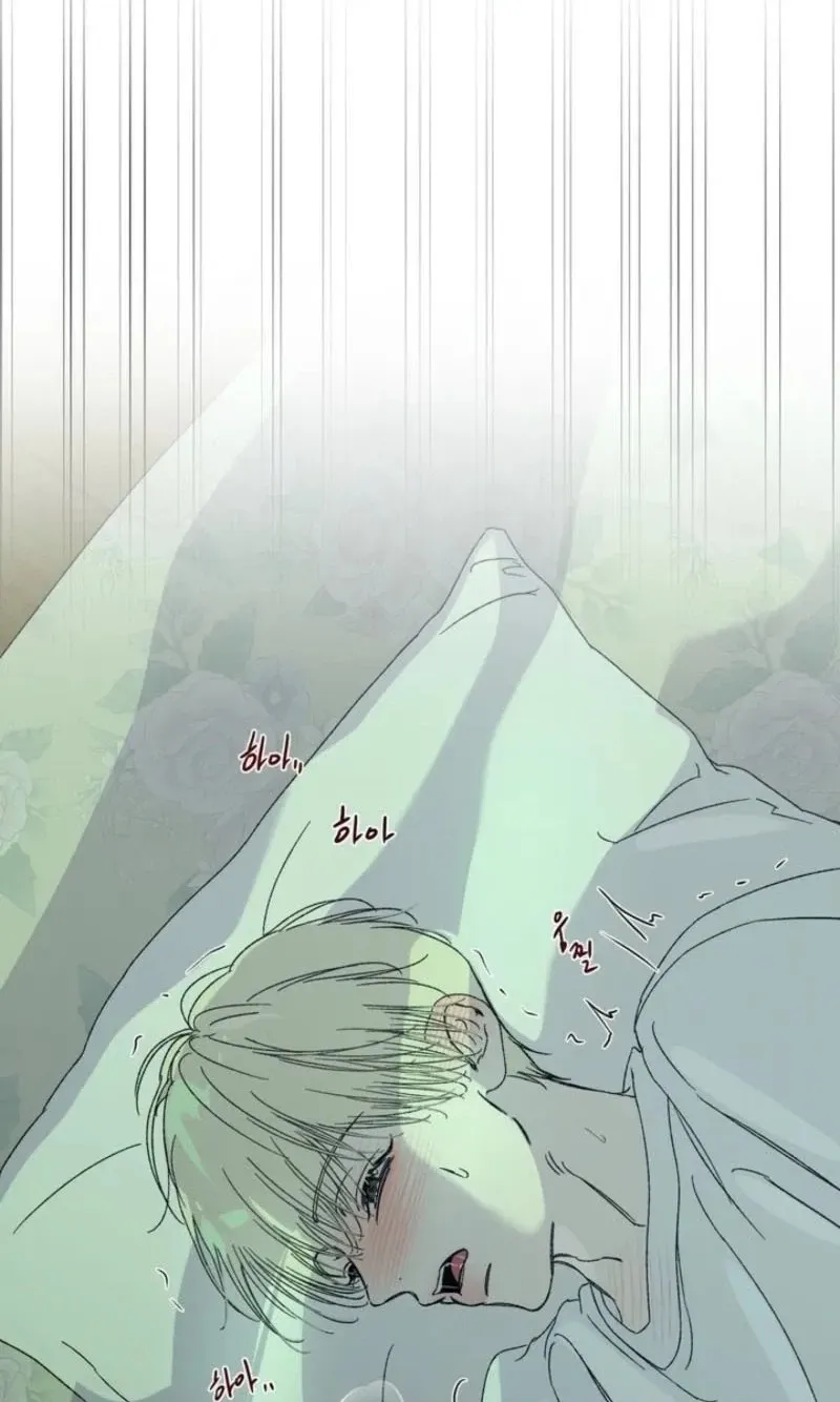 Cross-Color Point Chapter 14.99 page 70 - 