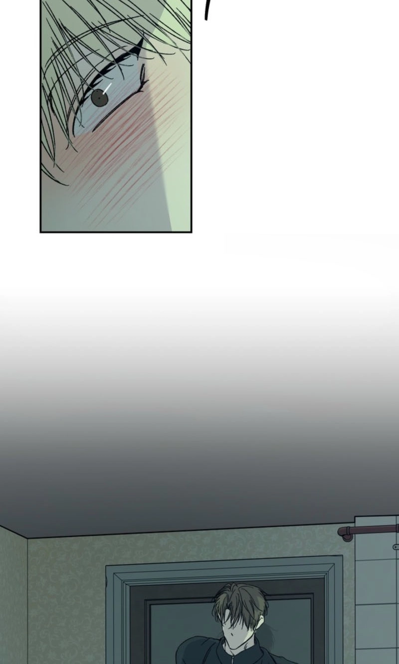 Cross-Color Point Chapter 14.99 page 72 - 