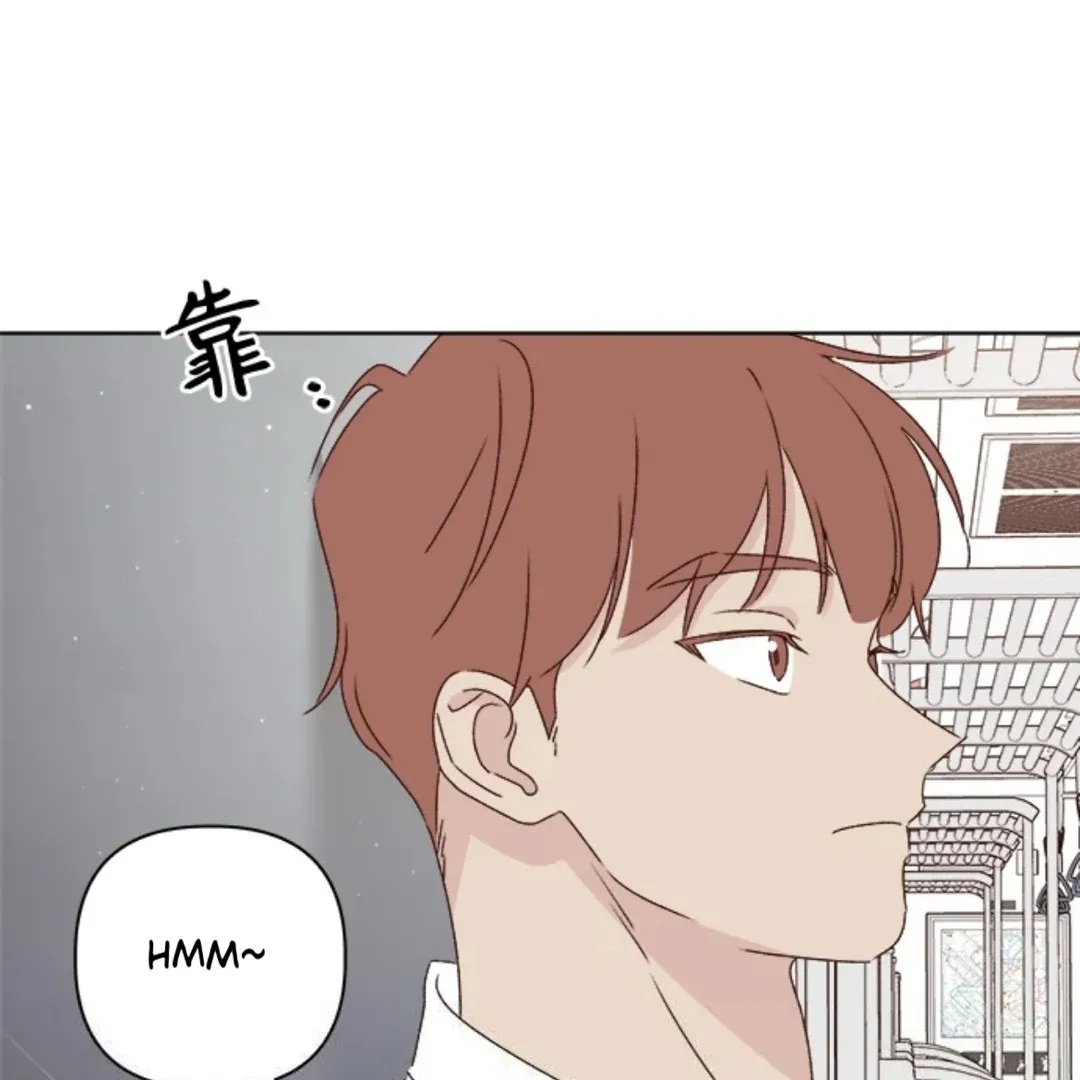 Crossing the Lines Chapter 31 page 101 - 