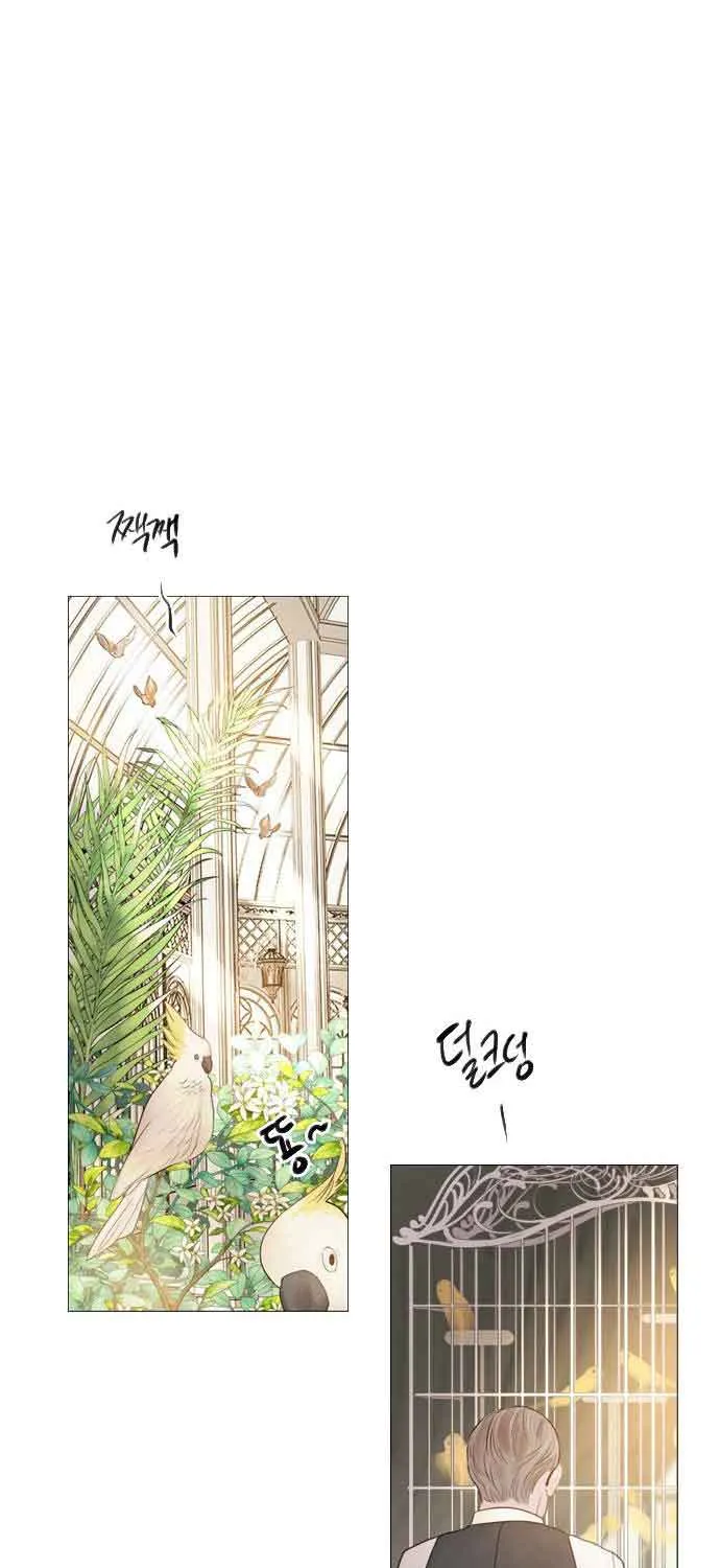 Read Cry, Even Better If You Beg chapter 11 image 47 on Lezhin