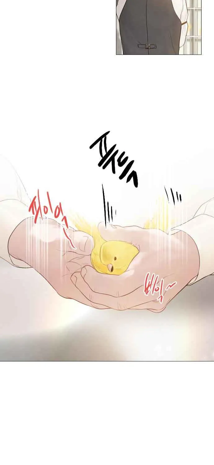Read Cry, Even Better If You Beg chapter 11 image 48 on Lezhin