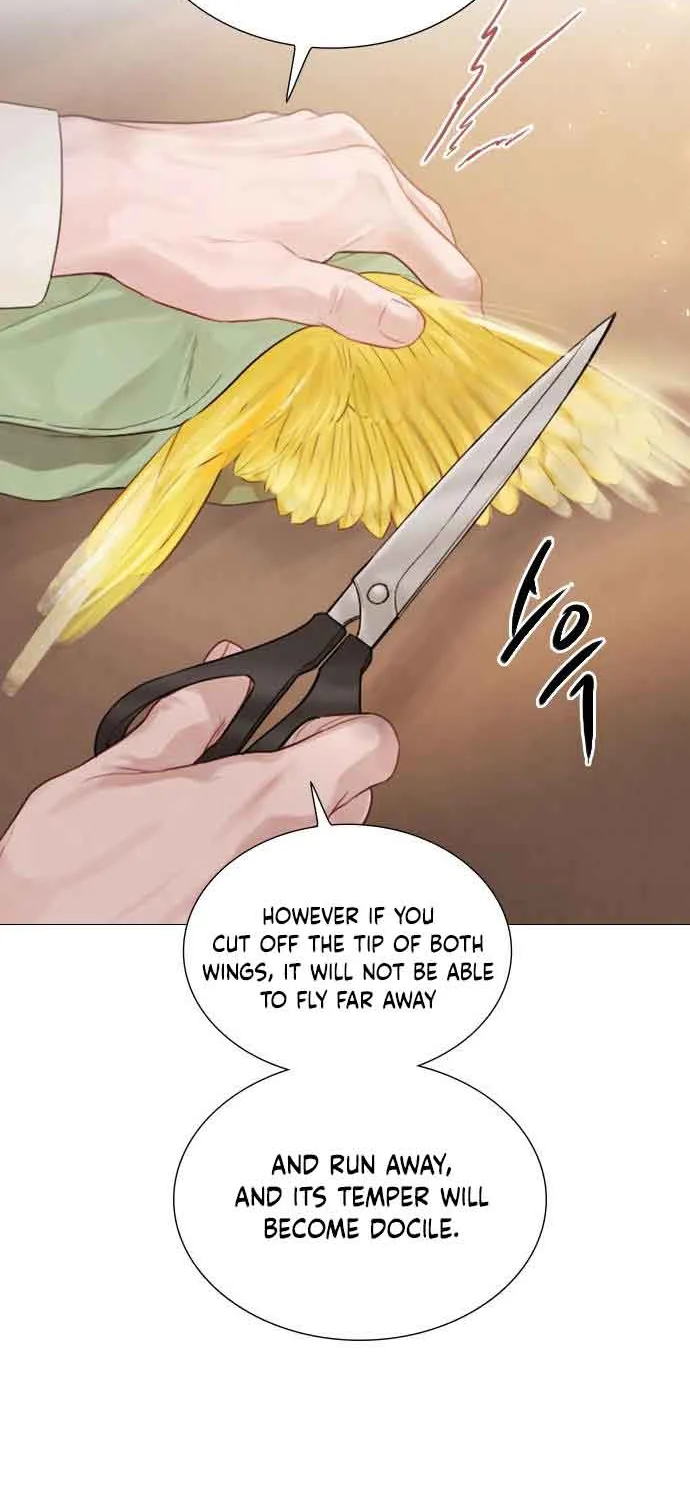 Read Cry, Even Better If You Beg chapter 11 image 52 on Lezhin