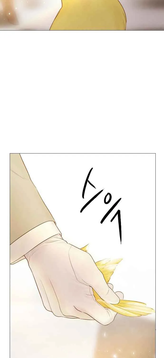 Read Cry, Even Better If You Beg chapter 11 image 59 on Lezhin