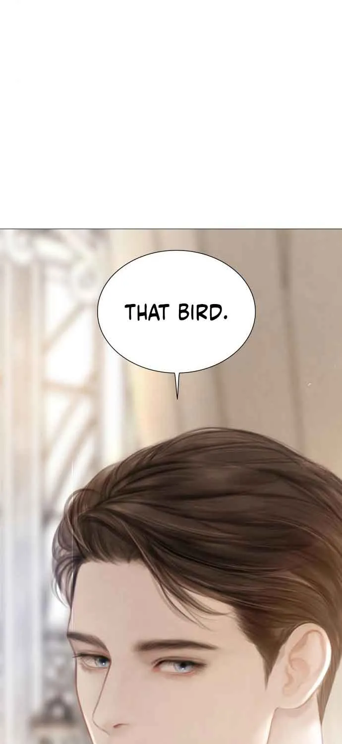 Read Cry, Even Better If You Beg chapter 11 image 71 on Lezhin