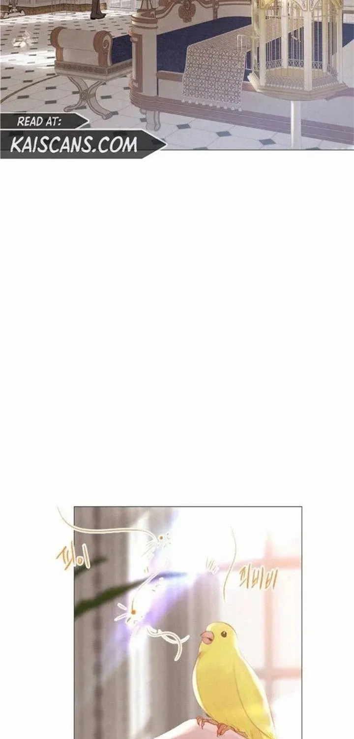 Read Cry, Even Better If You Beg chapter 14 image 46 on Lezhin