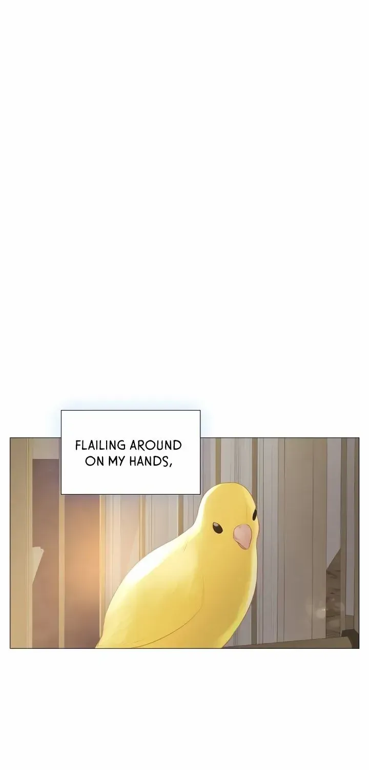 Read Cry, Even Better If You Beg chapter 16 image 53 on Lezhin