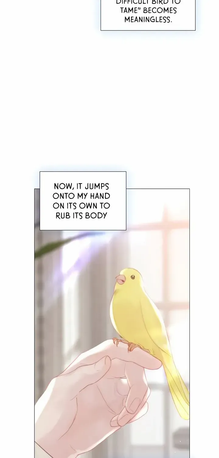Read Cry, Even Better If You Beg chapter 16 image 56 on Lezhin