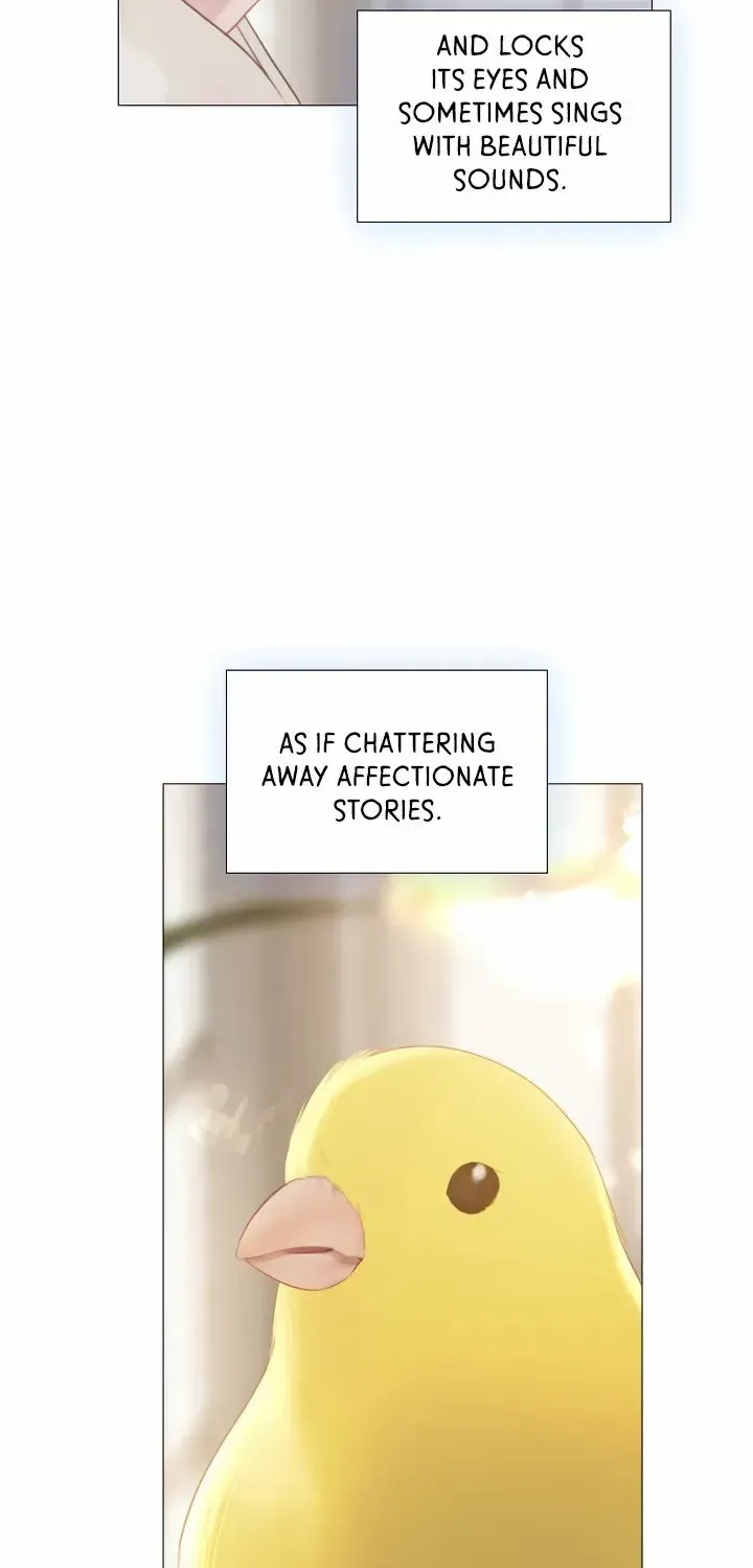 Read Cry, Even Better If You Beg chapter 16 image 57 on Lezhin