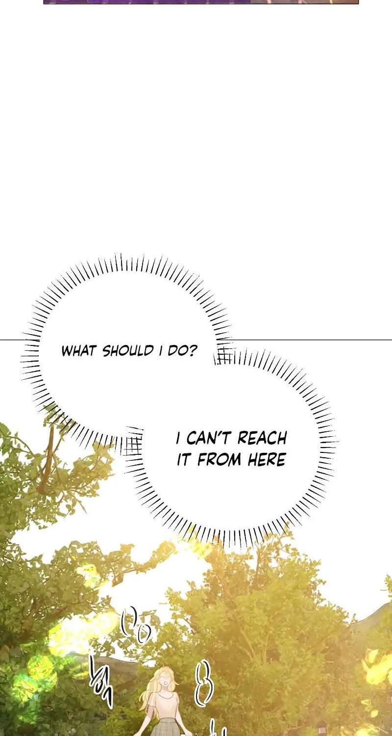 Read Cry, Even Better If You Beg chapter 17 image 72 on Lezhin