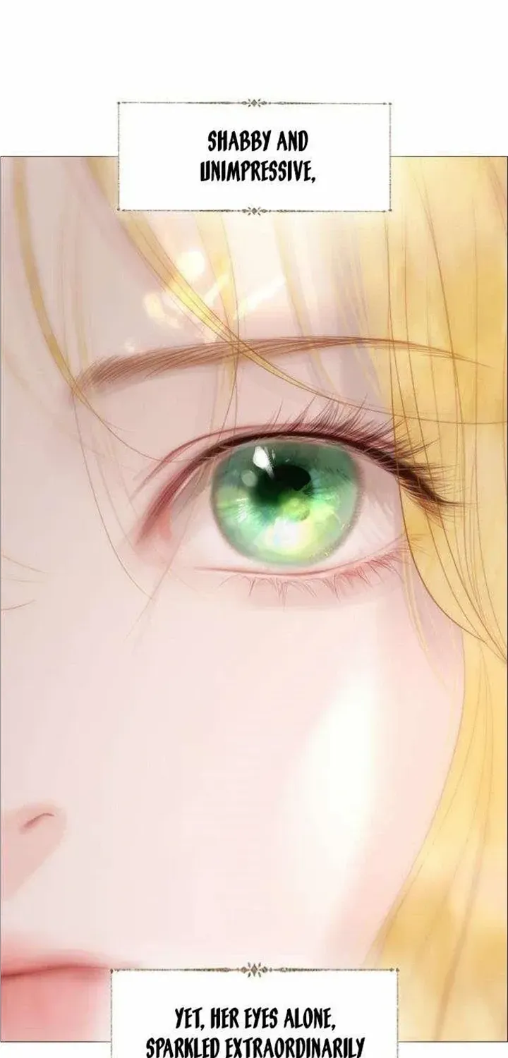 Read Cry, Even Better If You Beg chapter 19 image 6 on Lezhin