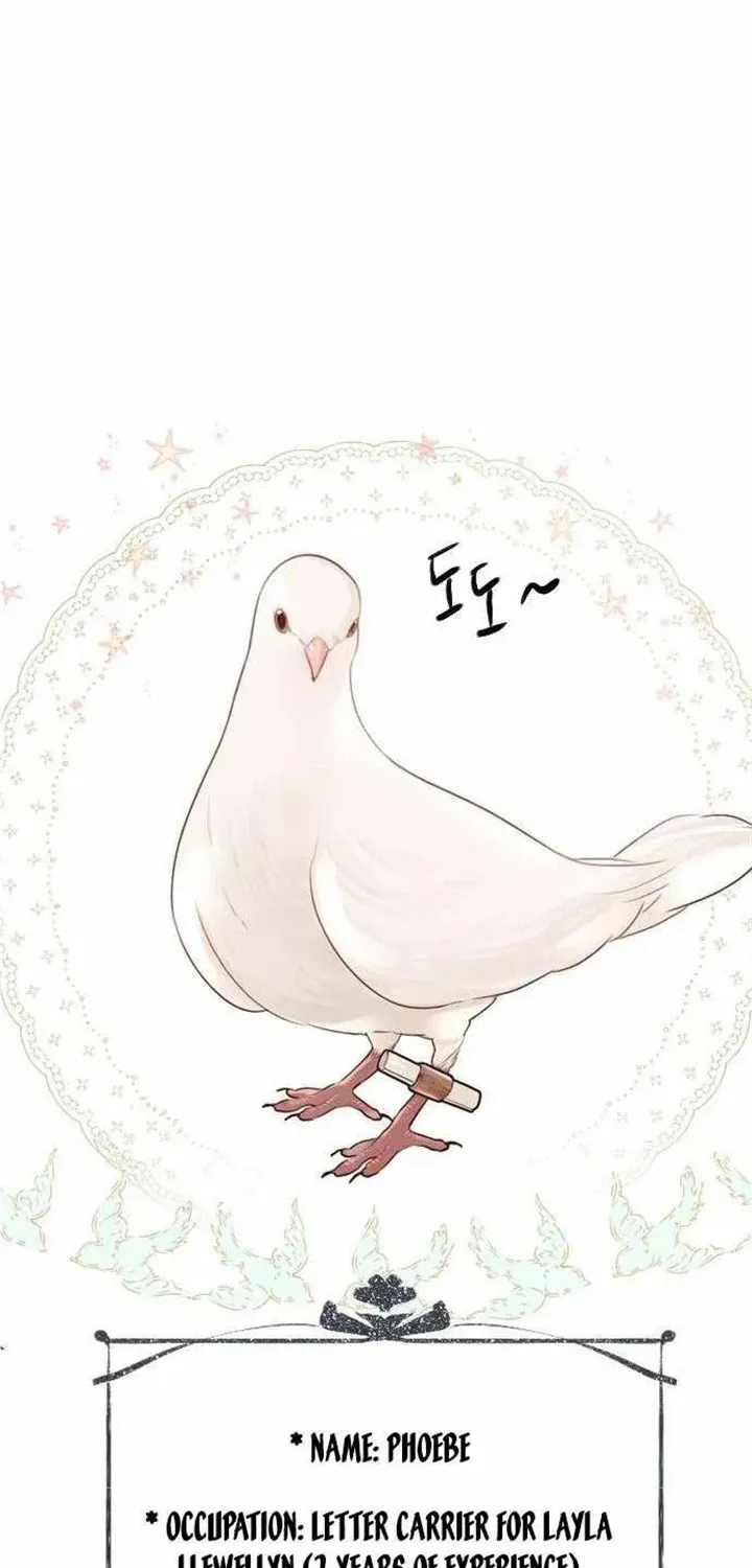 Read Cry, Even Better If You Beg chapter 19 image 76 on Lezhin