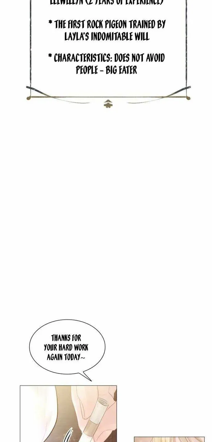 Read Cry, Even Better If You Beg chapter 19 image 77 on Lezhin