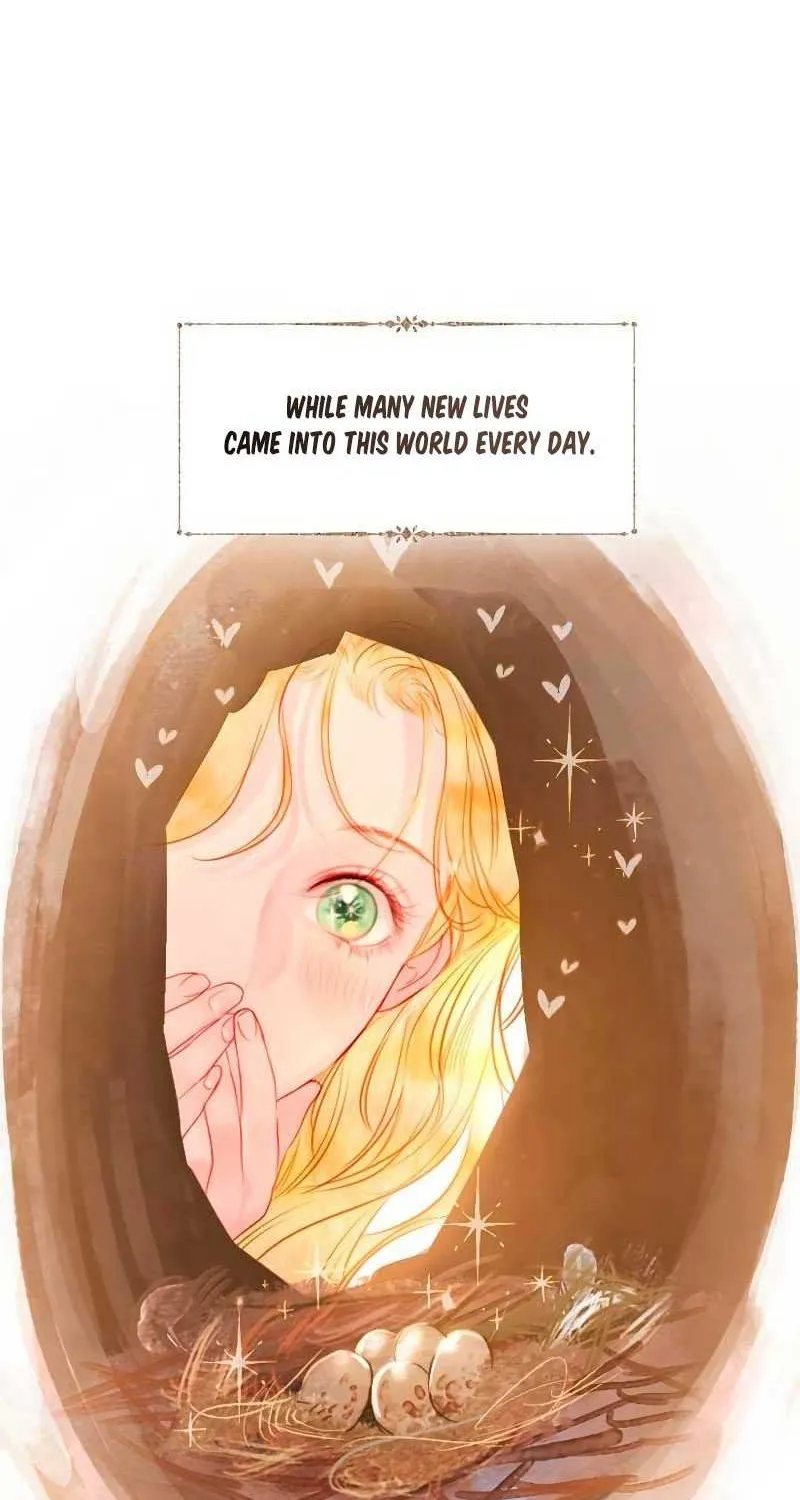 Read Cry, Even Better If You Beg chapter 2 image 83 on Lezhin