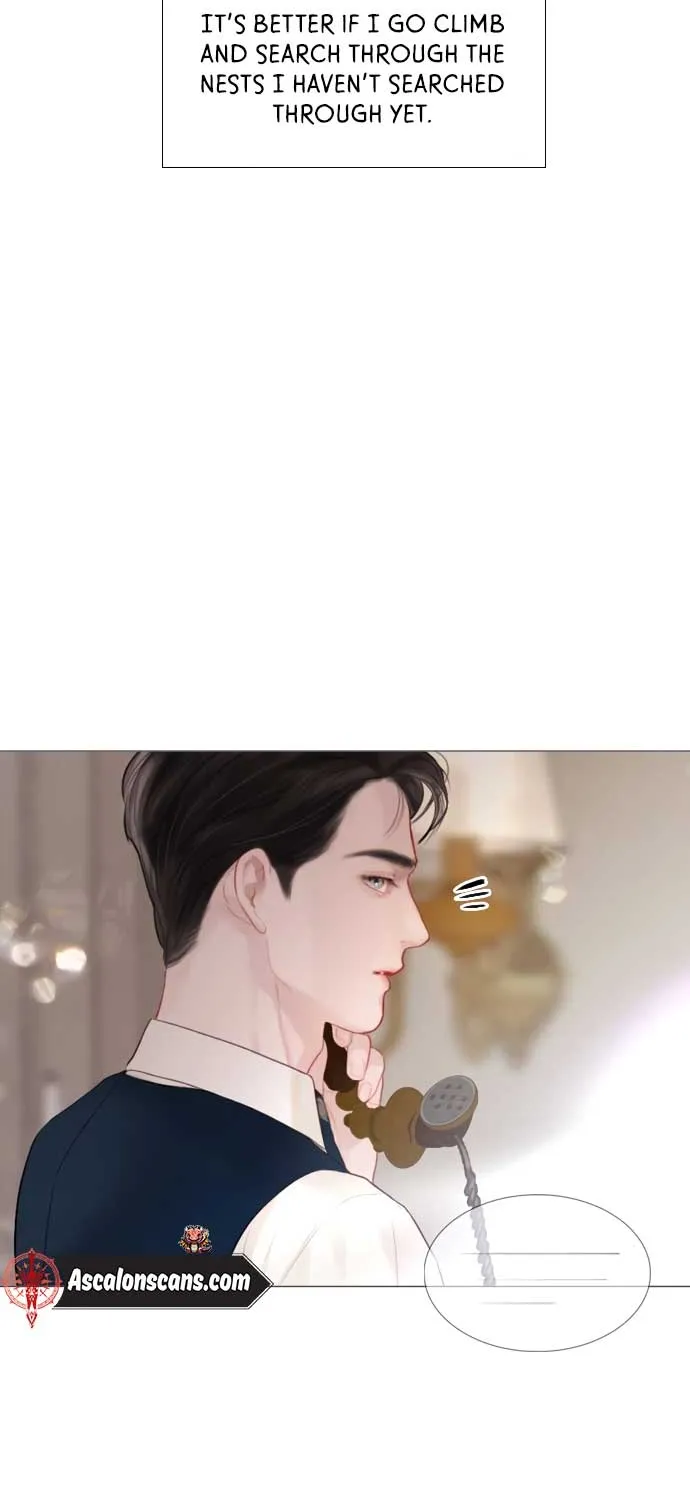 Read Cry, Even Better If You Beg chapter 20 image 65 on Lezhin