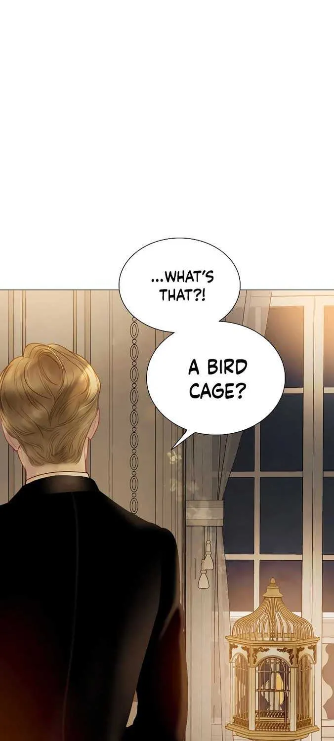 Read Cry, Even Better If You Beg chapter 21 image 10 on Lezhin