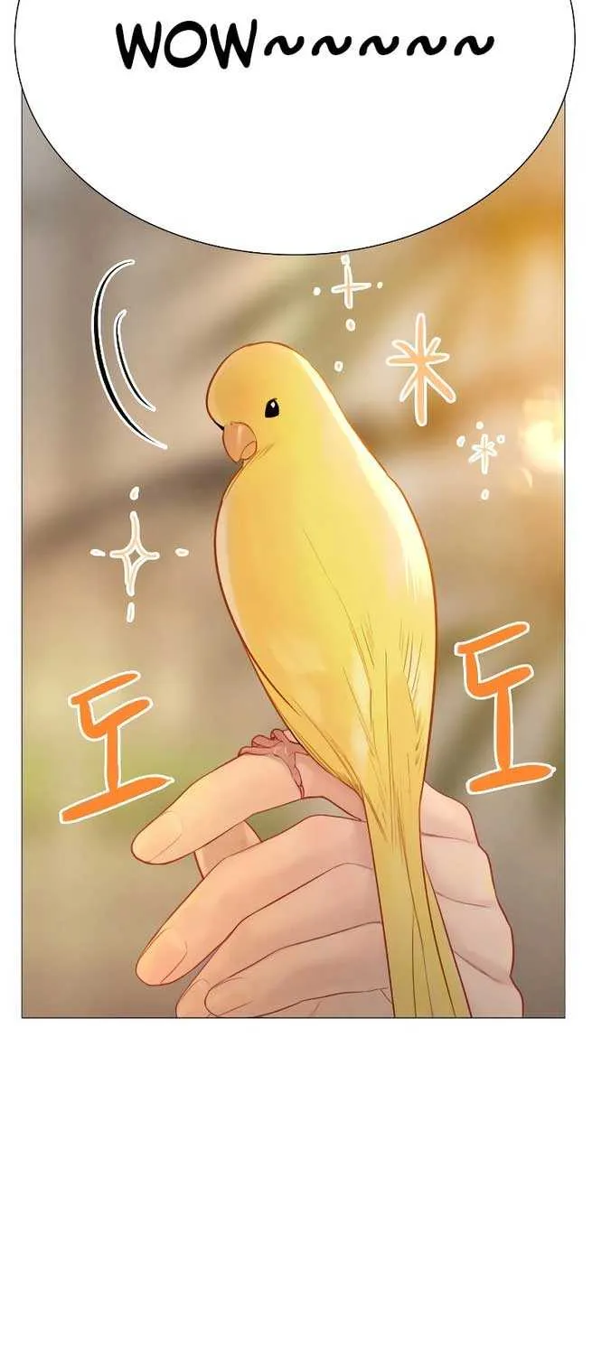 Read Cry, Even Better If You Beg chapter 21 image 16 on Lezhin