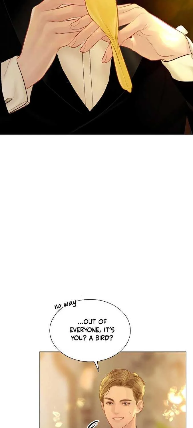 Read Cry, Even Better If You Beg chapter 21 image 18 on Lezhin