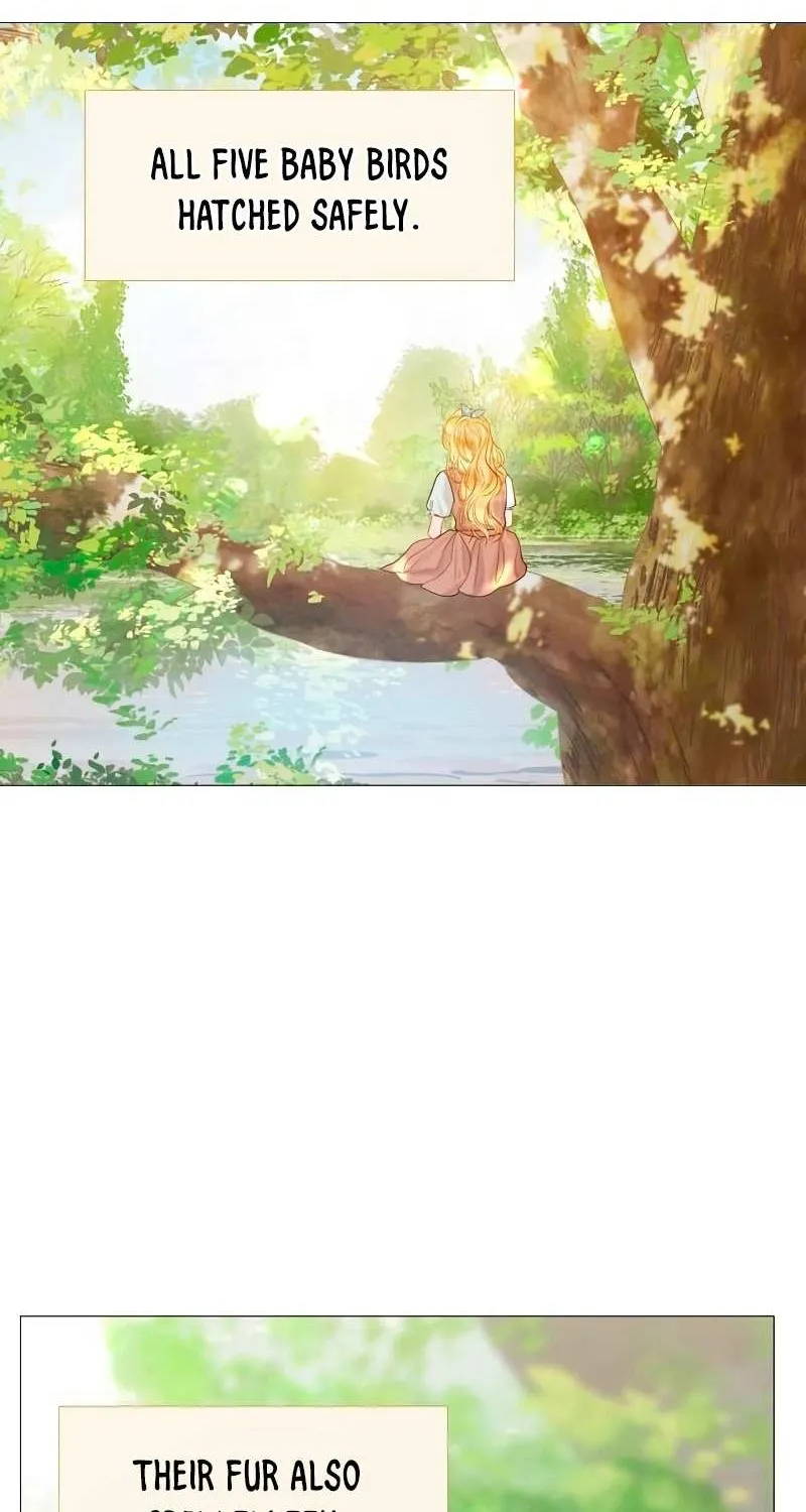 Read Cry, Even Better If You Beg chapter 3 image 71 on Lezhin