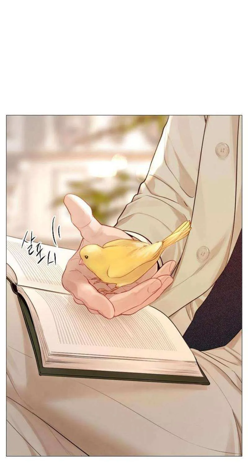 Read Cry, Even Better If You Beg chapter 32 image 28 on Lezhin