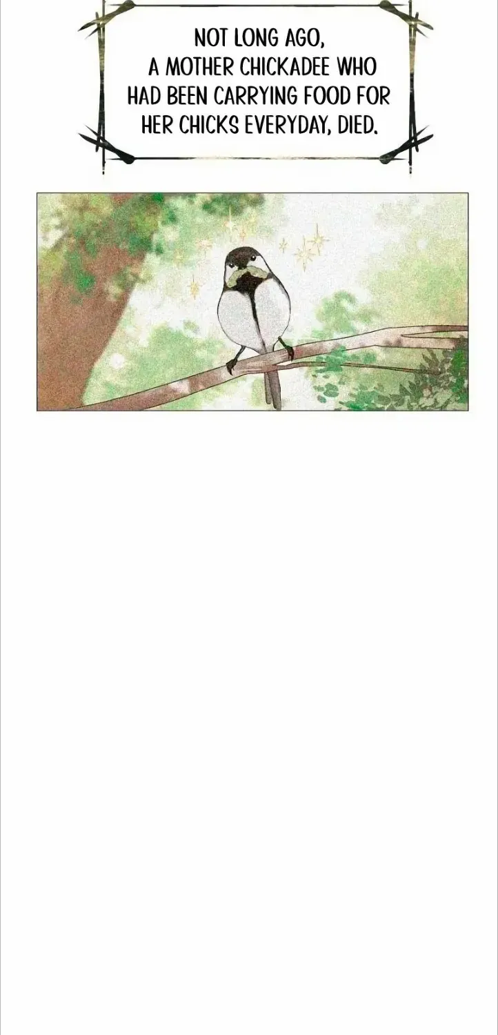 Read Cry, Even Better If You Beg chapter 4 image 15 on Lezhin