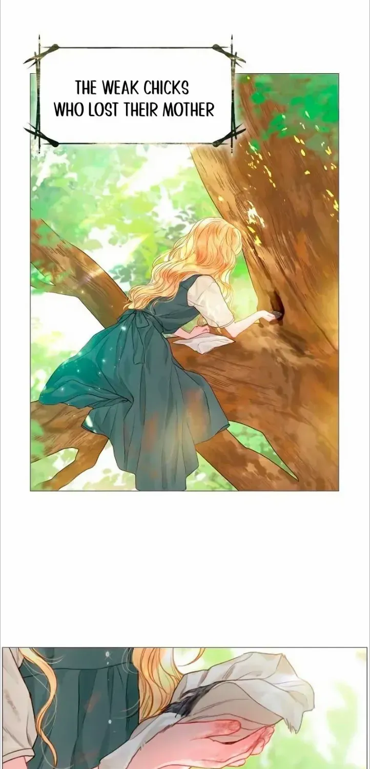 Read Cry, Even Better If You Beg chapter 4 image 16 on Lezhin
