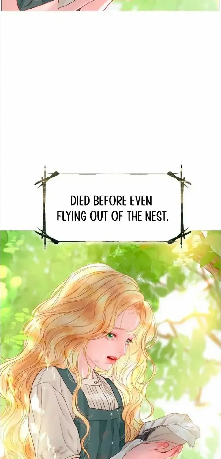 Read Cry, Even Better If You Beg chapter 4 image 17 on Lezhin