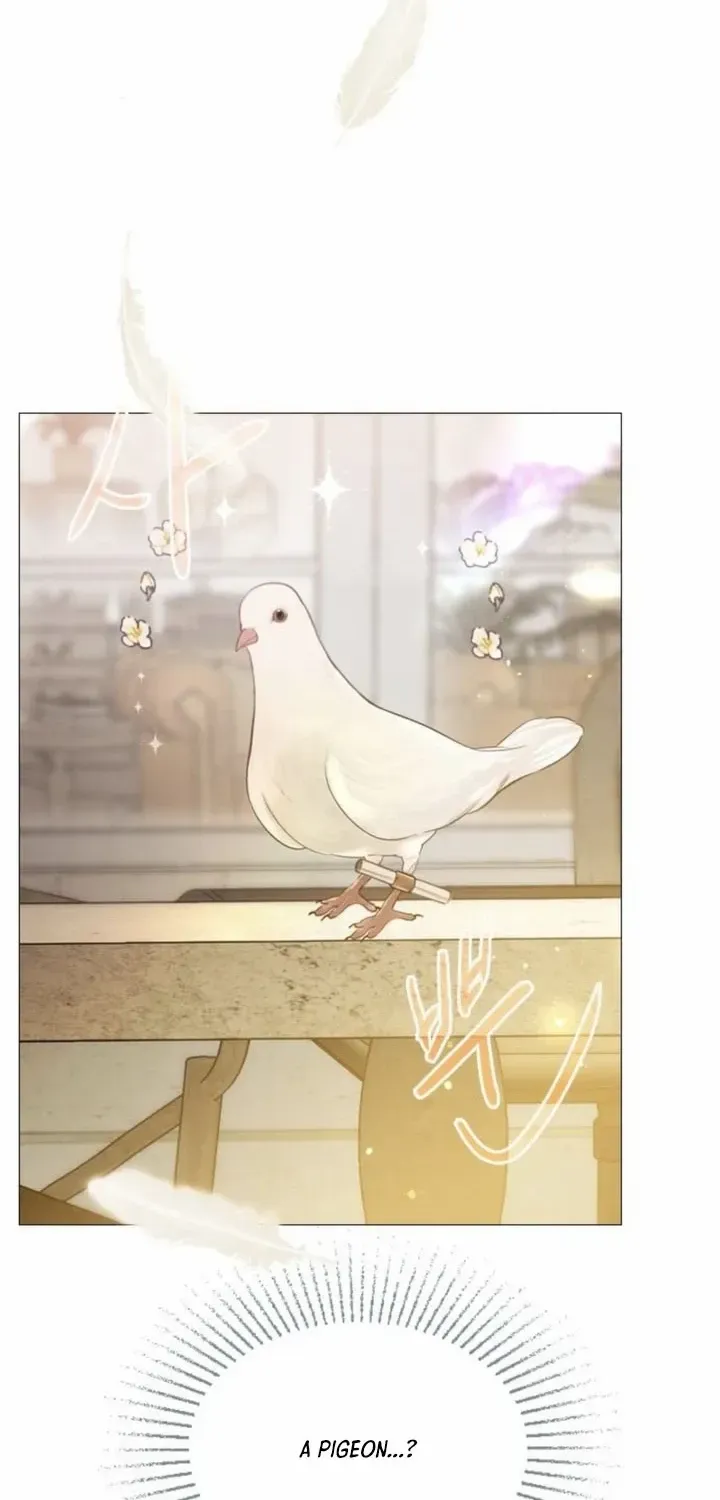 Read Cry, Even Better If You Beg chapter 52 image 27 on Lezhin