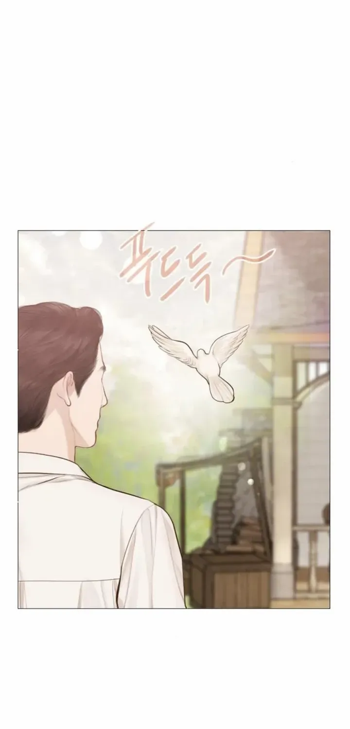 Read Cry, Even Better If You Beg chapter 52 image 31 on Lezhin